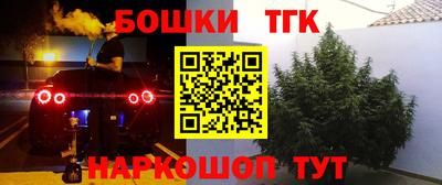 эйфоретик Бийск