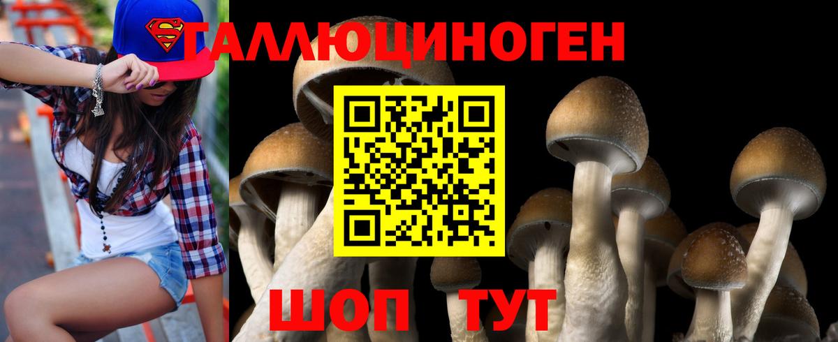 Кандалакша  Галлюциногенные грибы ЛСД  Вход с VPN 